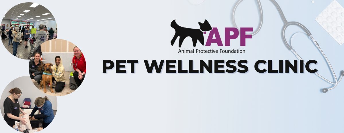Pet Wellness Clinics